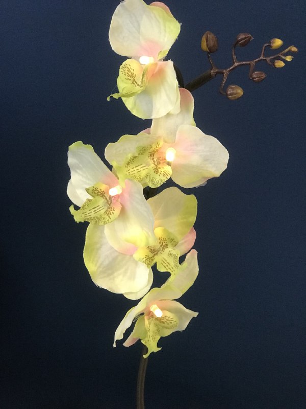 Орхидея декоративная в горшке